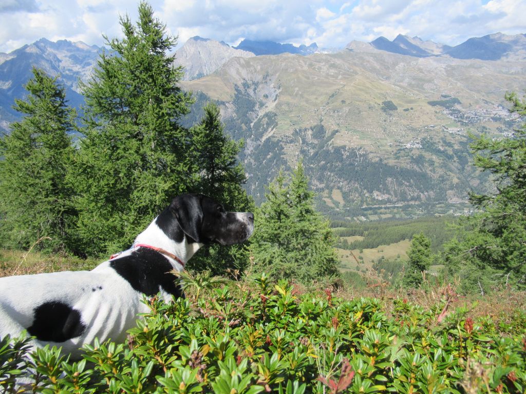 du moulin du tia - Concours Montagne.....