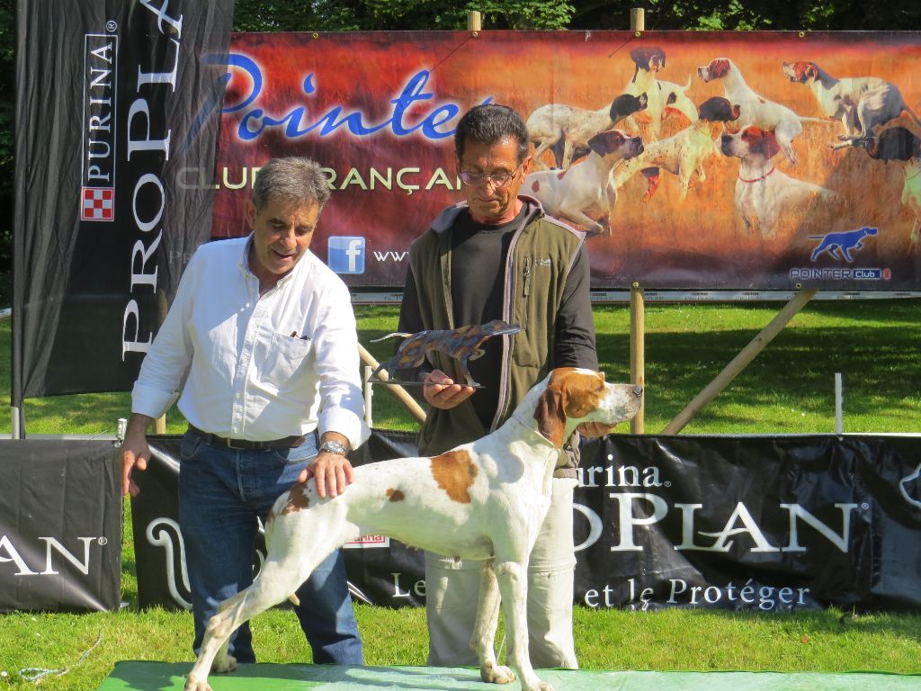 du moulin du tia - Concours Général Agricole 2019