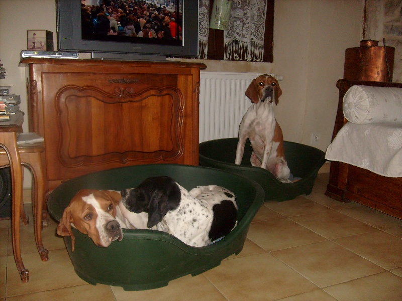 Repos des Stars