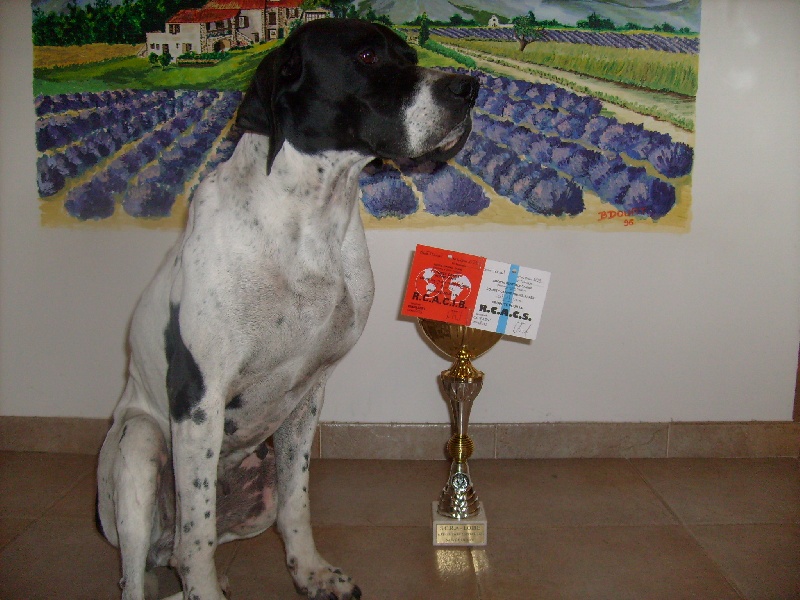 RCACIB-RCACS CHIPIE -St ETIENNE (Loire)2013