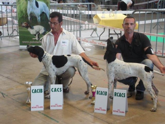CACIB-CACS CHIPIE- BEZIERS